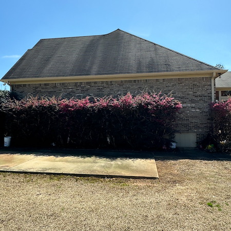 What Those Black Roof Streaks Really Are and Why They Spread in Birmingham