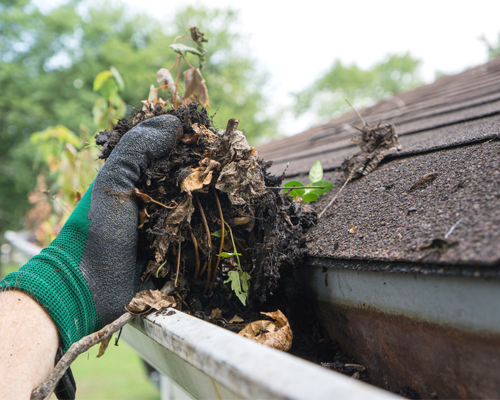 Gutter Cleaning